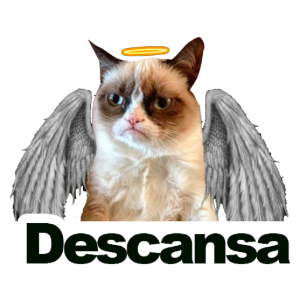凶八啊欧猫 messages sticker-5