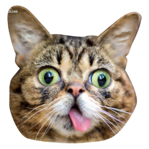 凶八啊欧猫 messages sticker-11