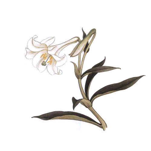 印花彩色Emoji messages sticker-6