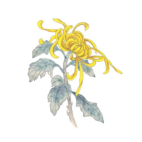 印花彩色Emoji messages sticker-7