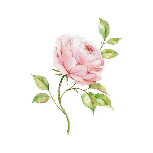 印花彩色Emoji messages sticker-5