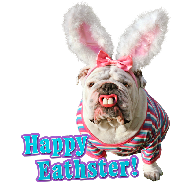 Avanti Hoppy Easter messages sticker-2