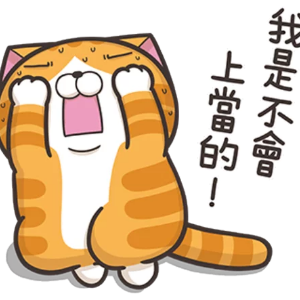 略胖憨橘猫 messages sticker-4