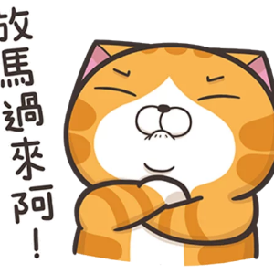 略胖憨橘猫 messages sticker-7