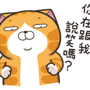 略胖憨橘猫 messages sticker-8