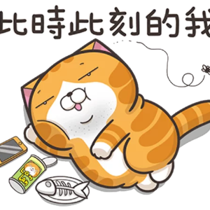略胖憨橘猫 messages sticker-9