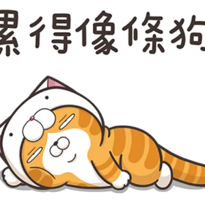 略胖憨橘猫 messages sticker-10