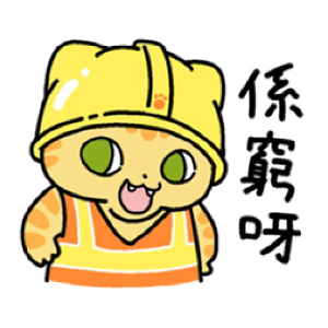 皇金钞级喵 messages sticker-9