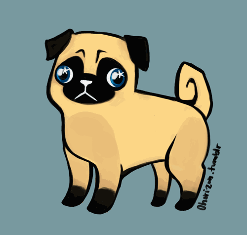 CuteyAnimals messages sticker-9