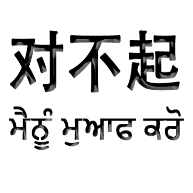 Punjabi Chinese messages sticker-3