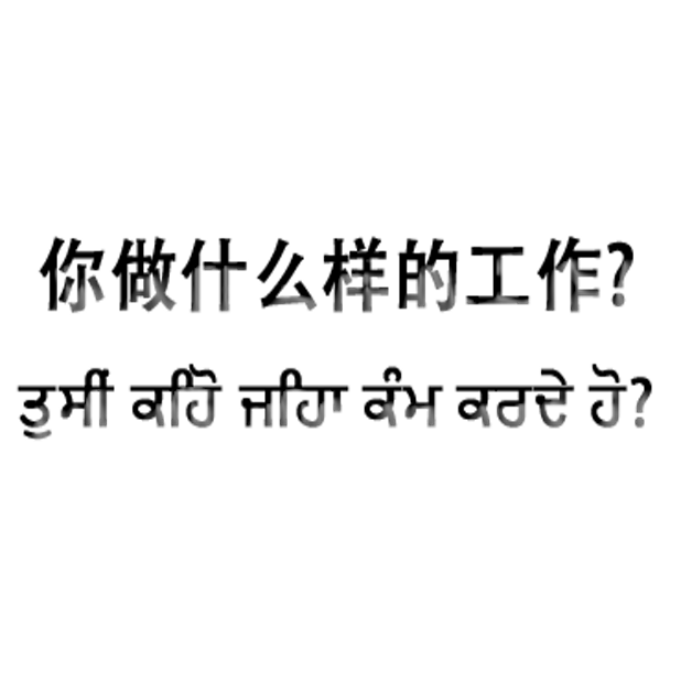 Punjabi Chinese messages sticker-8