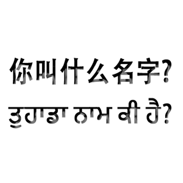 Punjabi Chinese messages sticker-2