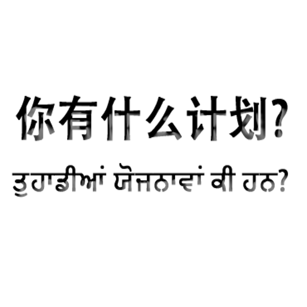 Punjabi Chinese messages sticker-11