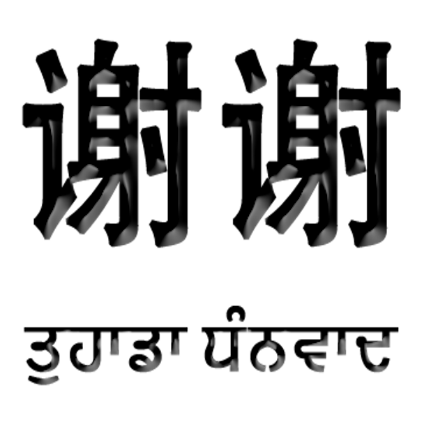 Punjabi Chinese messages sticker-4