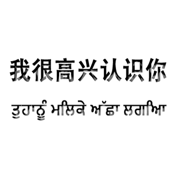 Punjabi Chinese messages sticker-1