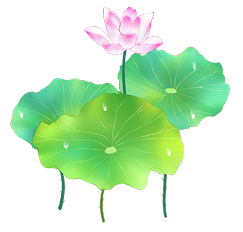 荷花转 messages sticker-7