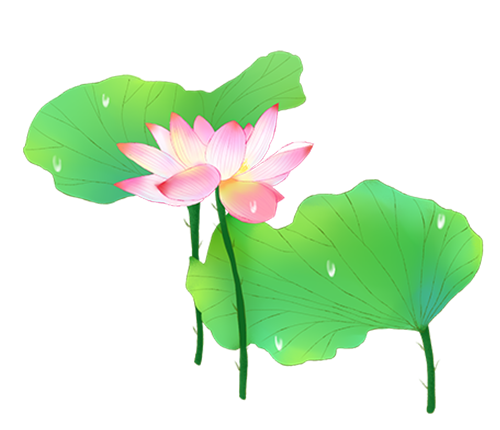 荷花转 messages sticker-1