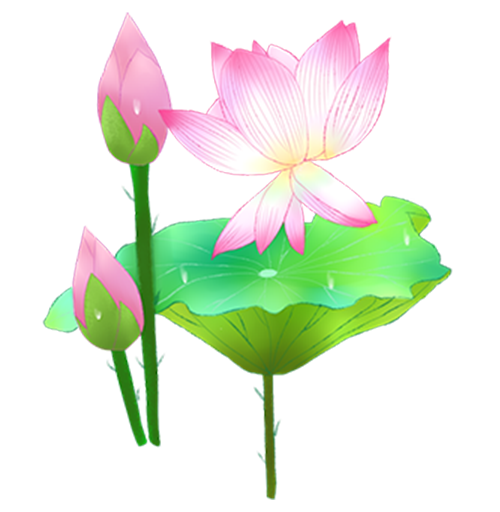 荷花转 messages sticker-4