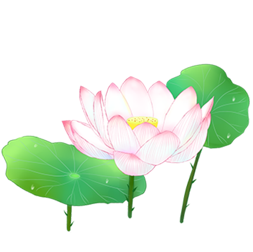 荷花转 messages sticker-0