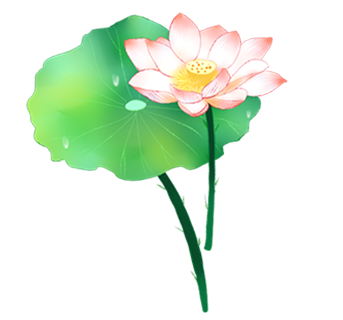 荷花转 messages sticker-6