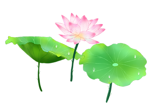 荷花转 messages sticker-5
