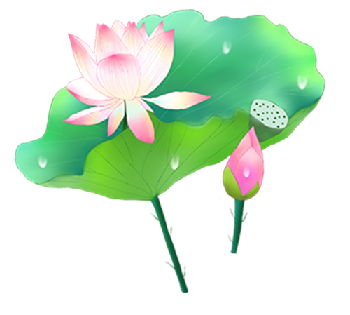 荷花转 messages sticker-3