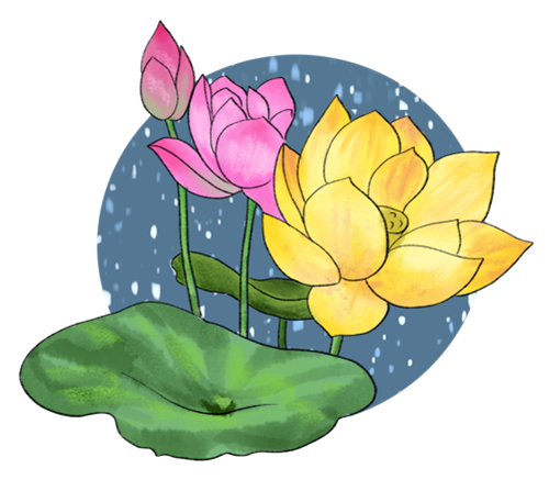 荷花转 messages sticker-11