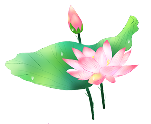 荷花转 messages sticker-2