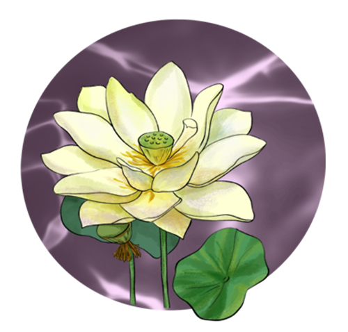 荷花转 messages sticker-9