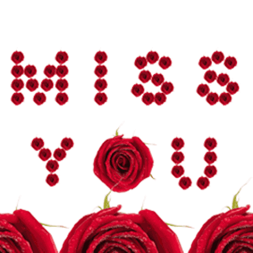 Halloween Animated 20 messages sticker-4