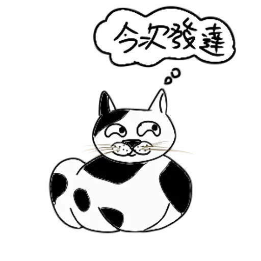 StupidCat messages sticker-8