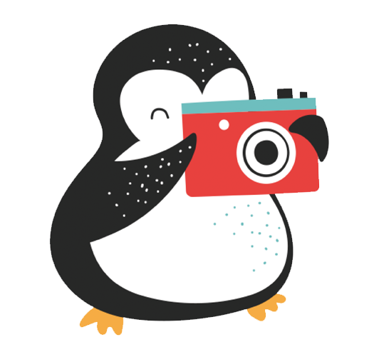 企鹅转 messages sticker-8