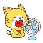 俏皮小黄猫 messages sticker-7