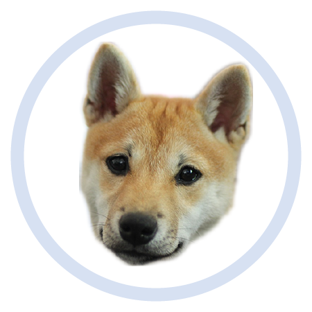 Cute Puppy - Stickers messages sticker-2