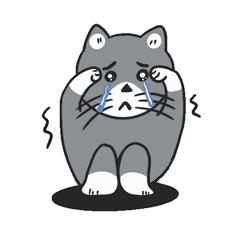 Cat star Stickers messages sticker-11