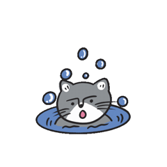 Cat star Stickers messages sticker-0