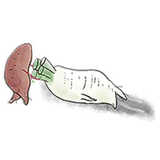 A Radish With Ideals messages sticker-8