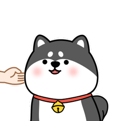 Little black shiba inu messages sticker-2