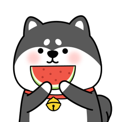Little black shiba inu messages sticker-1