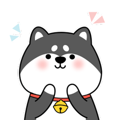 Little black shiba inu messages sticker-9