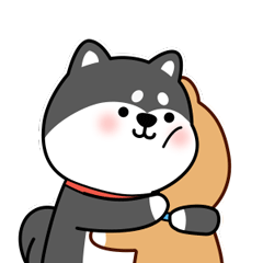 Little black shiba inu messages sticker-3