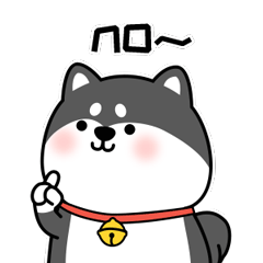 Little black shiba inu messages sticker-10