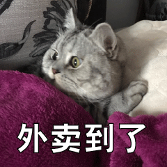风速外卖-stickers messages sticker-2