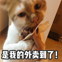 风速外卖-stickers messages sticker-1