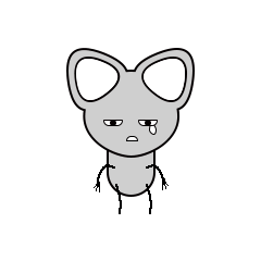 Squirrenl stickers messages sticker-11