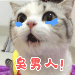 香香软软的小泡芙 messages sticker-3