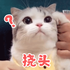 香香软软的小泡芙 messages sticker-8