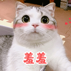 香香软软的小泡芙 messages sticker-5