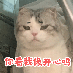 香香软软的小泡芙 messages sticker-2