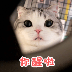 香香软软的小泡芙 messages sticker-10